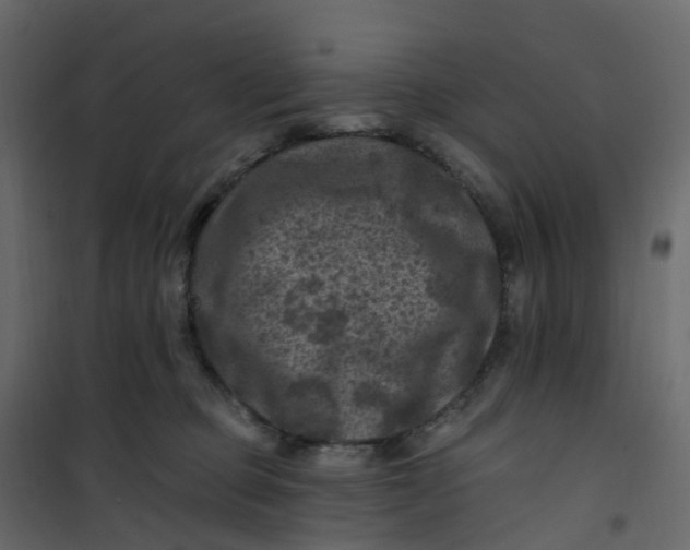 X0000101090373200807171854