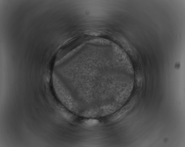 X0000101090374200807171854