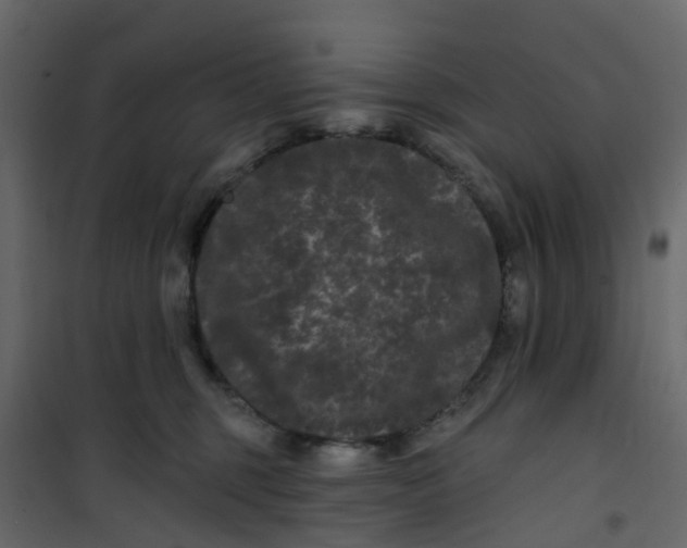 X0000101090375200807171854