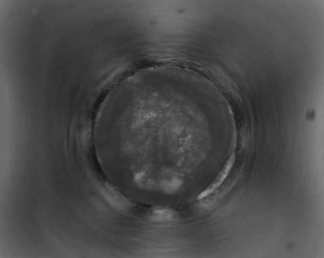 X0000101090376200807171854