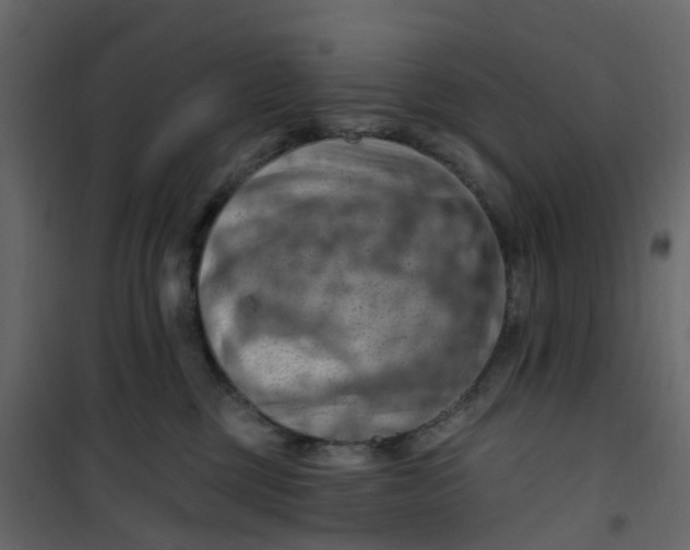 X0000101090377200807171854