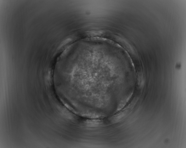 X0000101090378200807171854