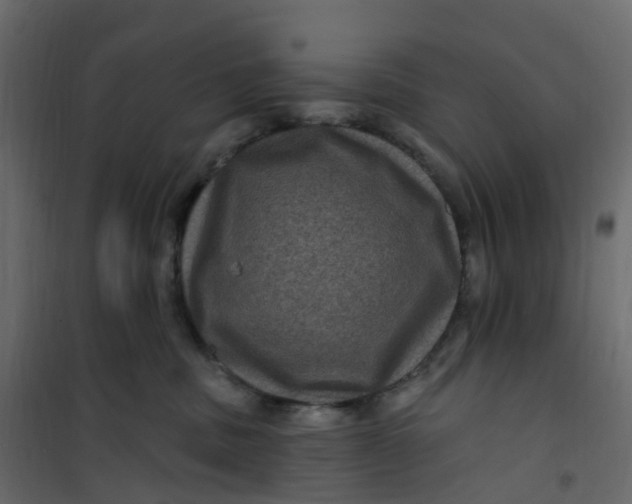 X0000101090379200807171854