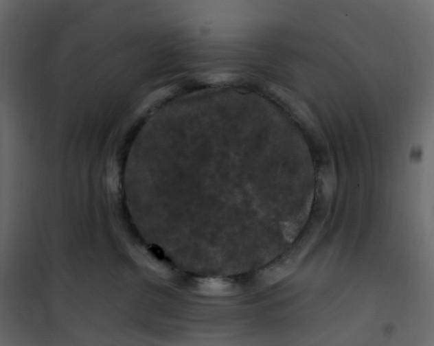 X0000101090380200807171854