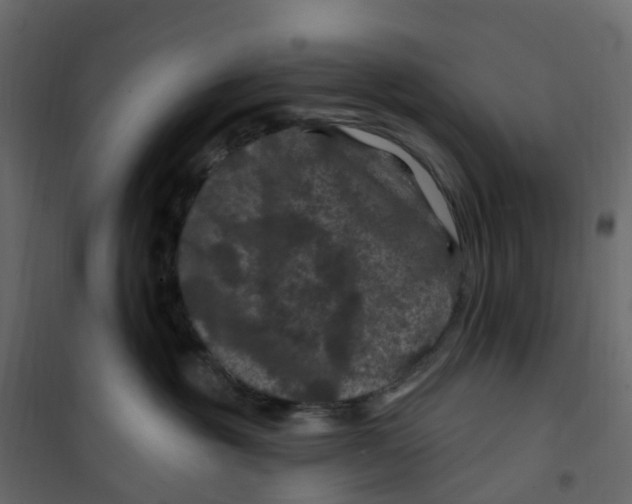 X0000101090381200807171854