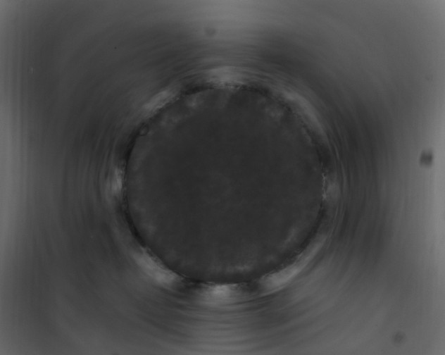 X0000101090382200807171854