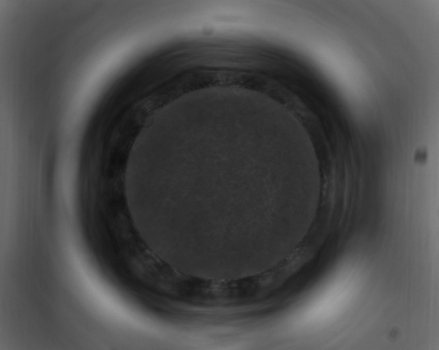 X0000101090383200807171854