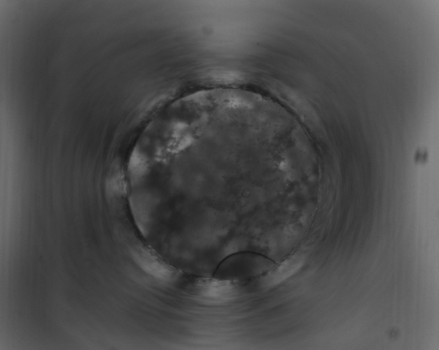 X0000101090384200807171854