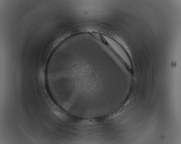 X0000101090386200807171853