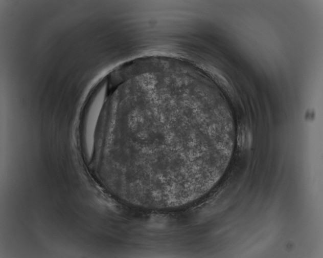 X0000101090388200807171853