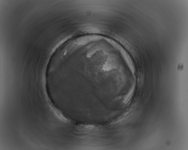 X0000101090390200807171853