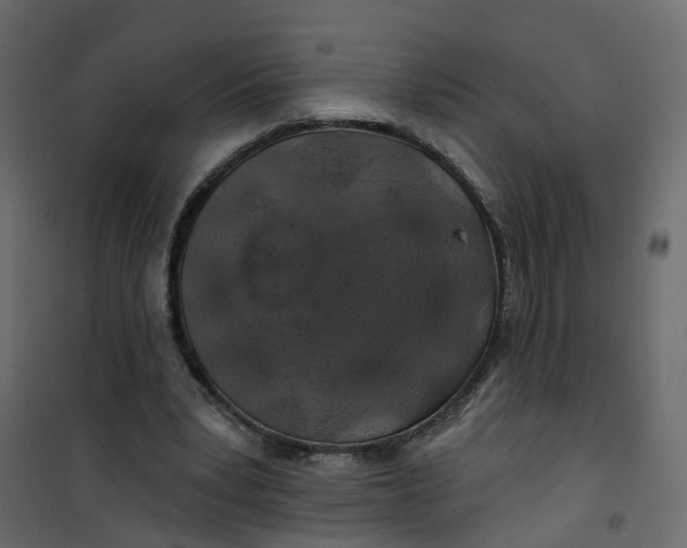 X0000101090391200807171853