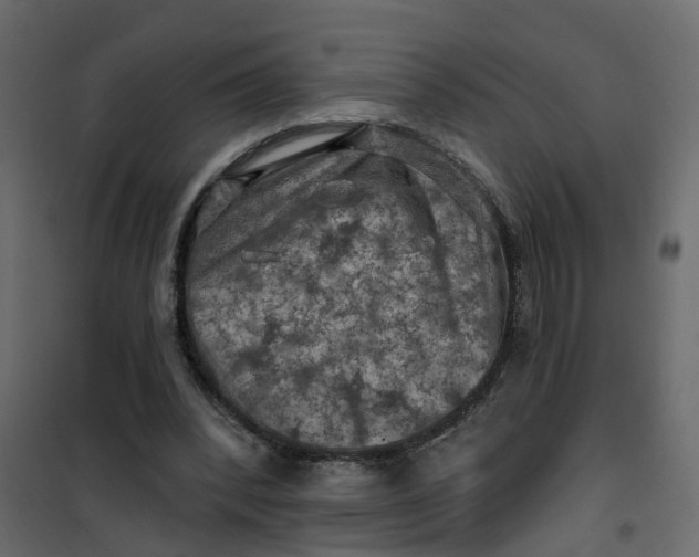 X0000101090392200807171853