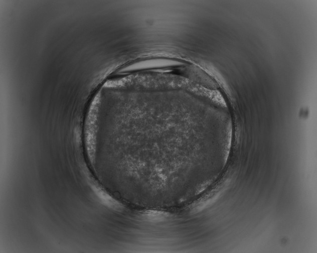 X0000101090393200807171853