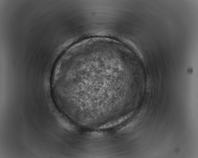 X0000101090394200807171853