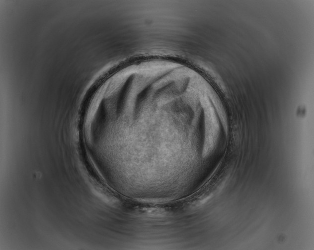 X0000101090395200807171853