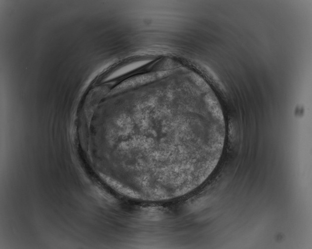 X0000101090396200807171853