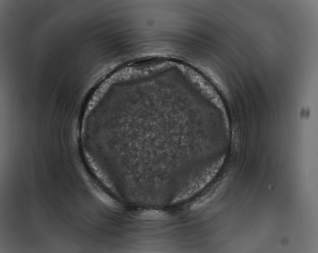 X0000101090397200807171853