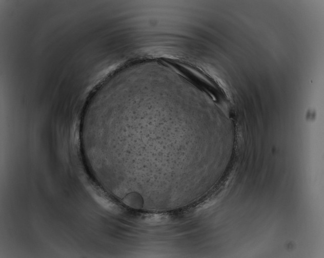 X0000101090398200807171853