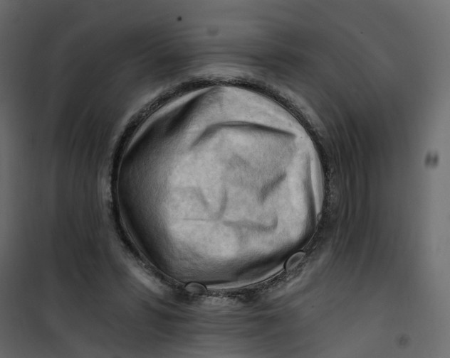 X0000101090399200807171853