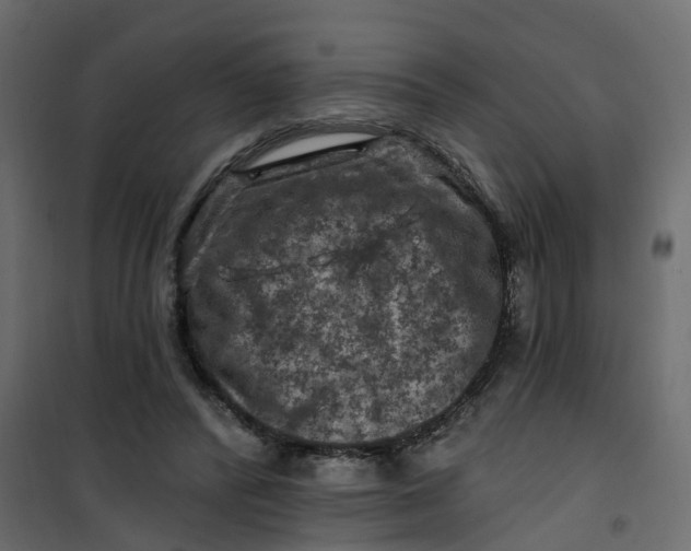 X0000101090400200807171853