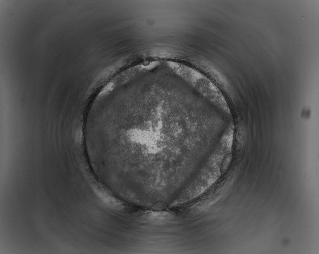 X0000101090401200807171853