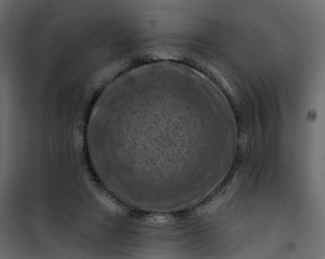 X0000101090402200807171853