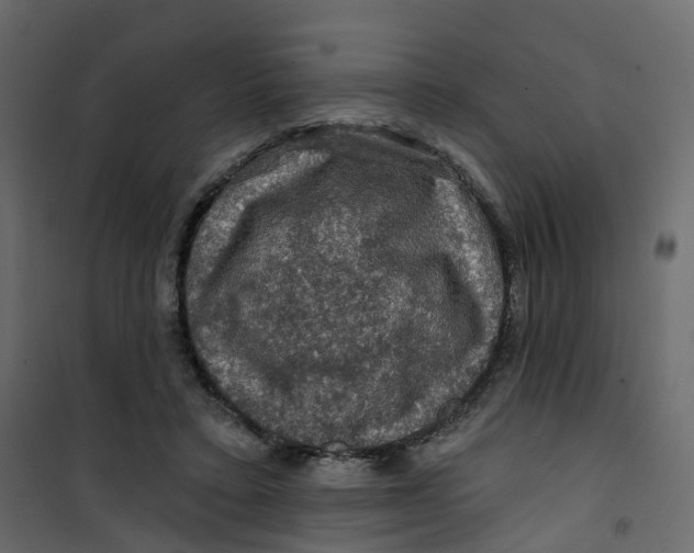 X0000101090403200807171853