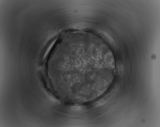 X0000101090404200807171853