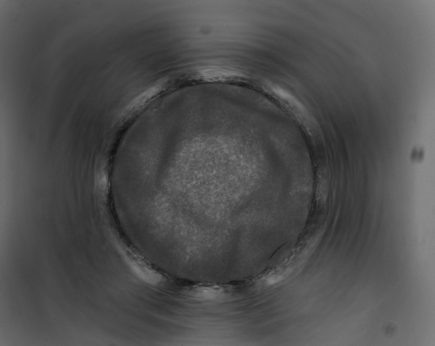 X0000101090405200807171853