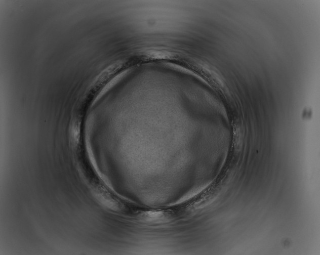 X0000101090406200807171853