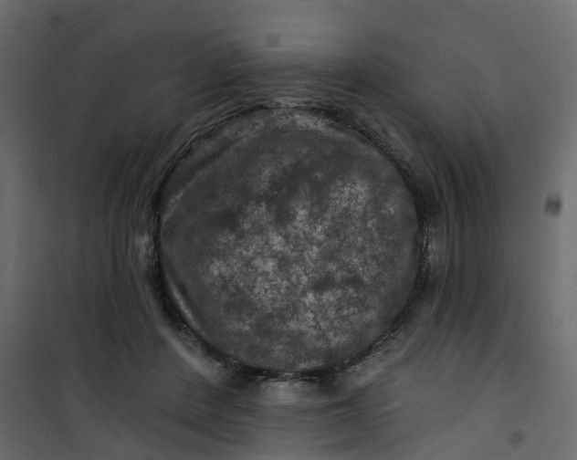 X0000101090408200807171853