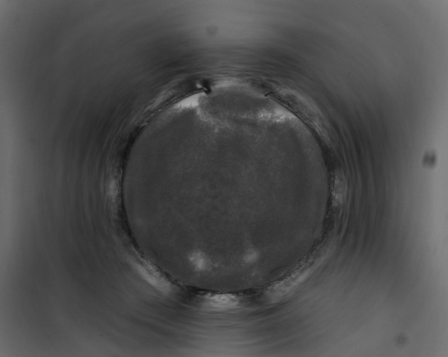 X0000101090409200807171853