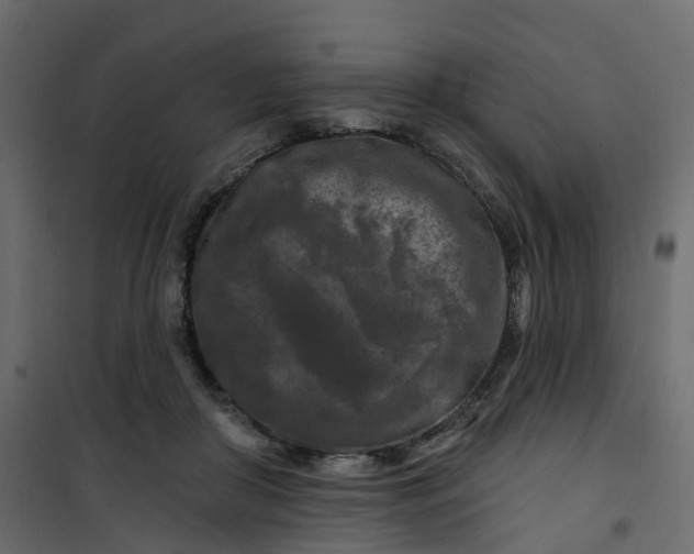 X0000101090410200807171853