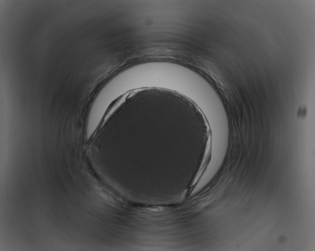 X0000101090411200807171853