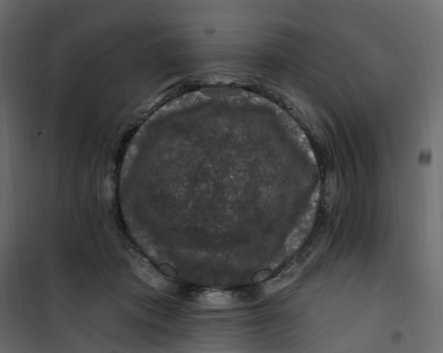 X0000101090413200807171853