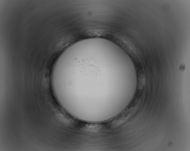 X0000101090414200807171853