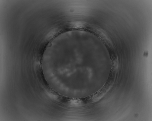 X0000101090415200807171853