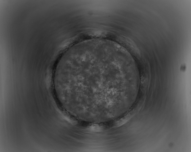 X0000101090416200807171853