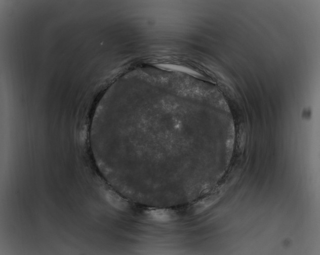 X0000101090417200807171853