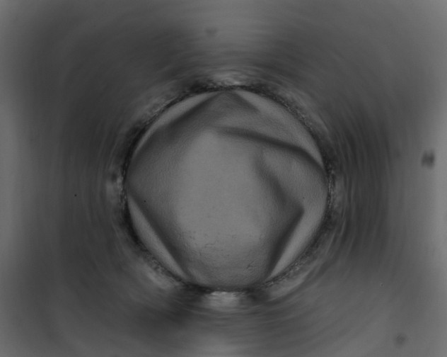 X0000101090418200807171853