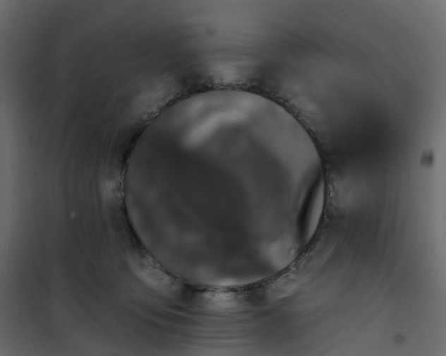 X0000101090419200807171853