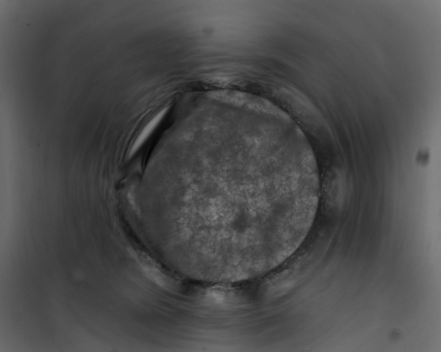 X0000101090420200807171853