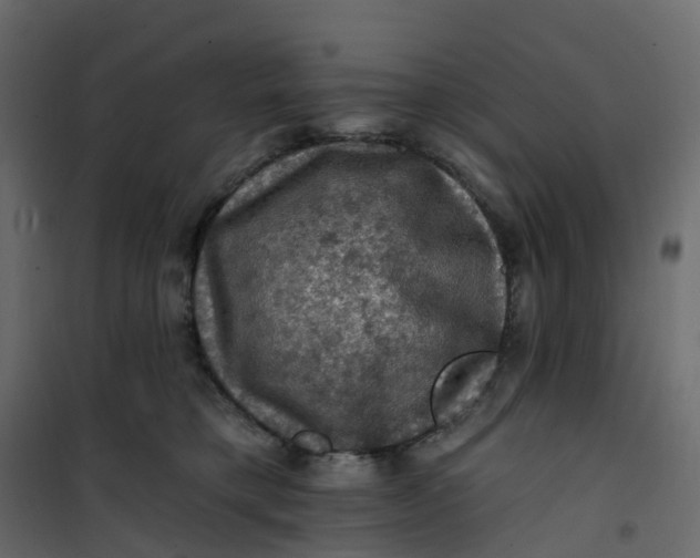 X0000101090421200807171853