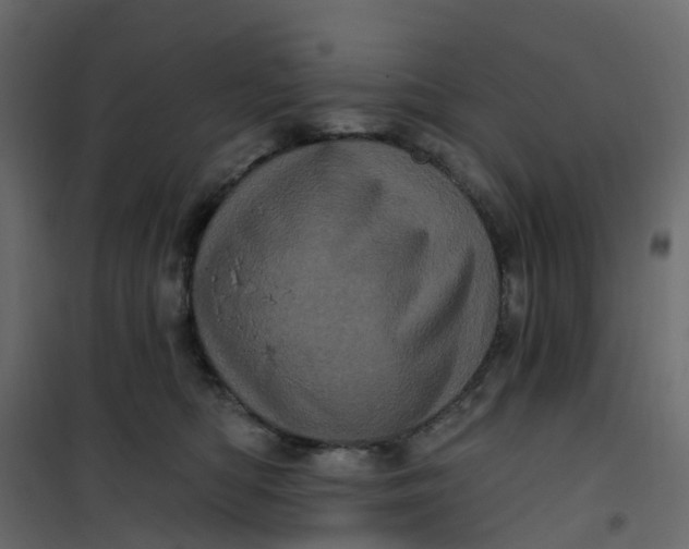 X0000101090422200807171853