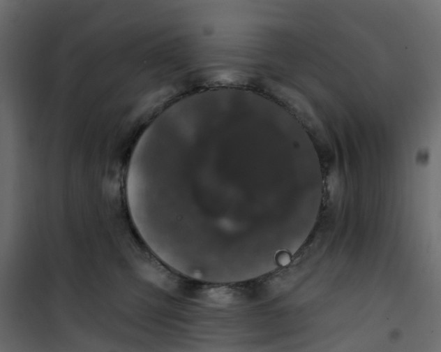 X0000101090423200807171853