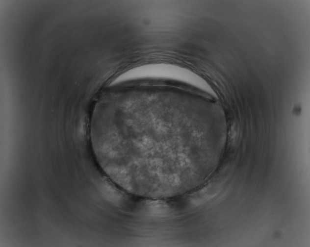 X0000101090424200807171853