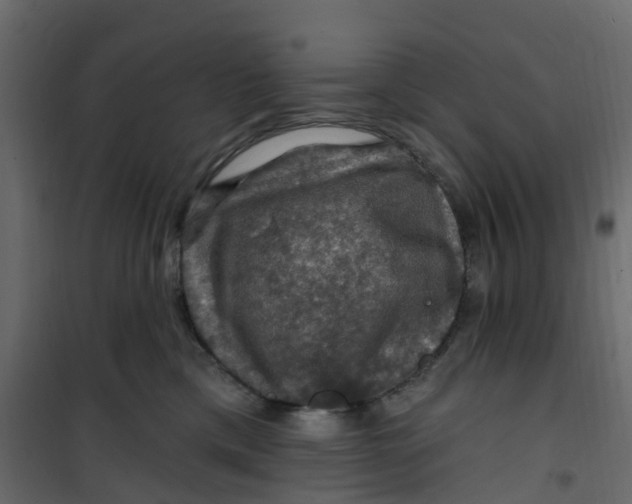 X0000101090425200807171853