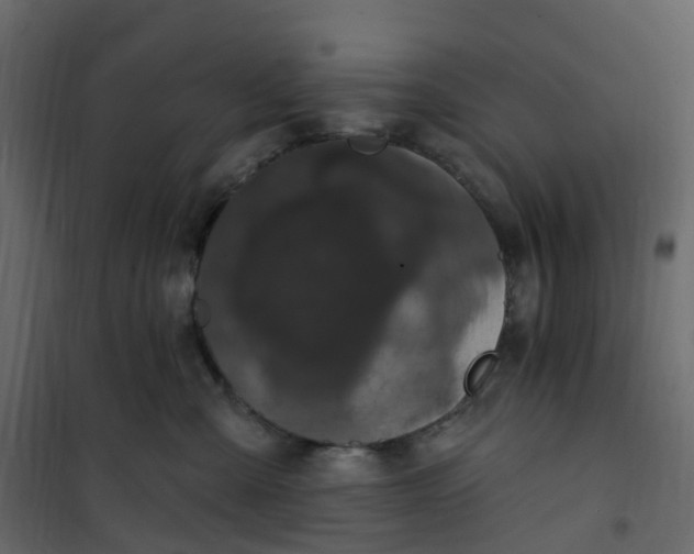 X0000101090427200807171853