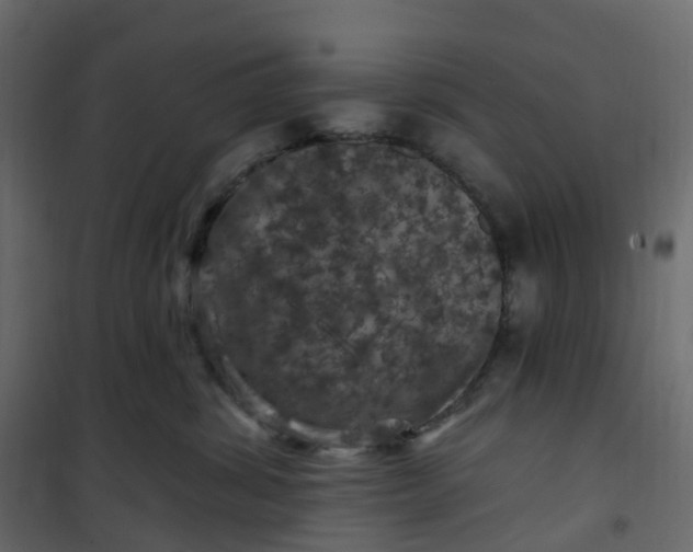 X0000101090428200807171853